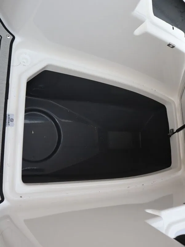 Slide: The Image of Yamaha 255 FSH Sport E 2025 - 21