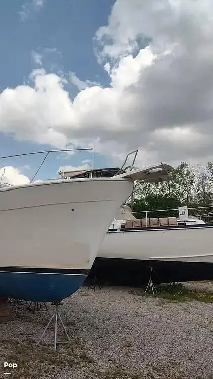 Slide: The Image of 1993 Bayliner 3888 for sale in Demopolis, AL - 3