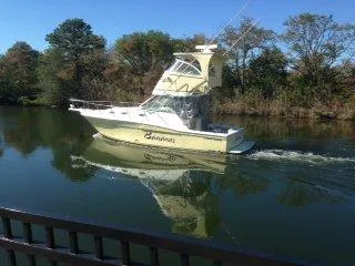 The Image of 2006 Wellcraft 330 Coastal boat cruising on a calm river with trees in the background. - 0