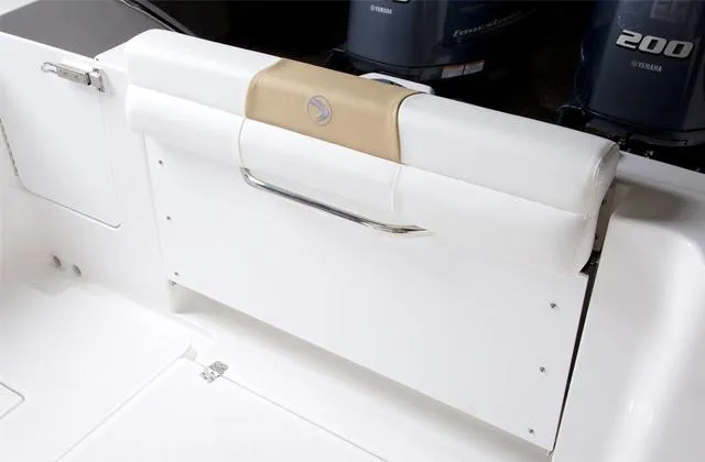 Slide: The Image of Edgewater 262CC 2022 - 10