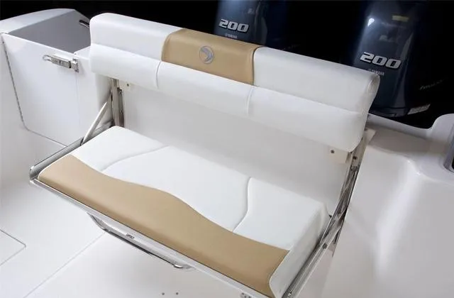 Slide: The Image of Edgewater 262CC 2022 - 11