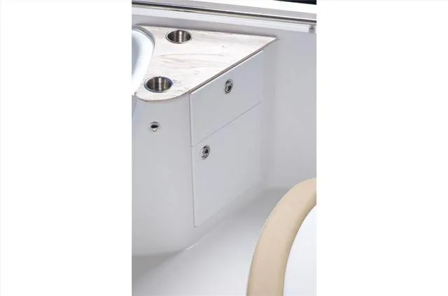 Slide: The Image of Edgewater 262CC 2022 - 13