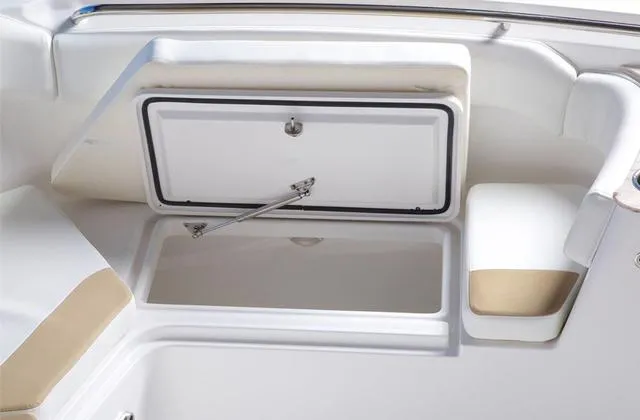 Slide: The Image of Edgewater 262CC 2022 - 6