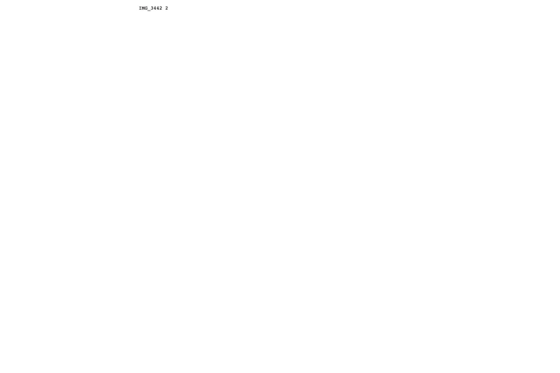 Slide: The Image of A white background with text "IMG_3442 2" at the top center. - 6