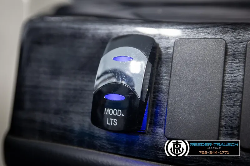 Slide: The Image of Switch labeled "MOOD LTS" on Avalon 2385 CAT EL, 2020 model. - 32