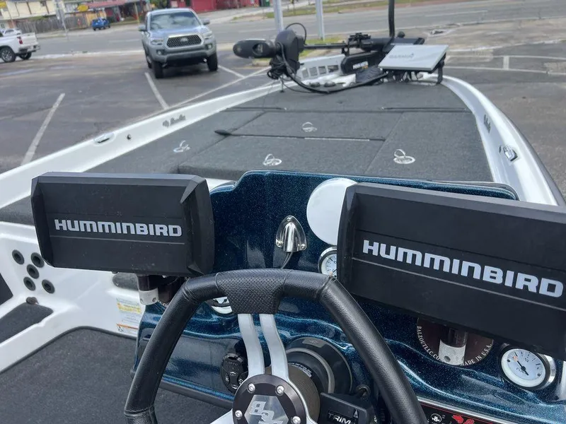 Slide: The Image of Bass Cat Pantera II 2021 - 50