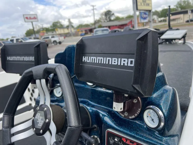 Slide: The Image of Bass Cat Pantera II 2021 - 51