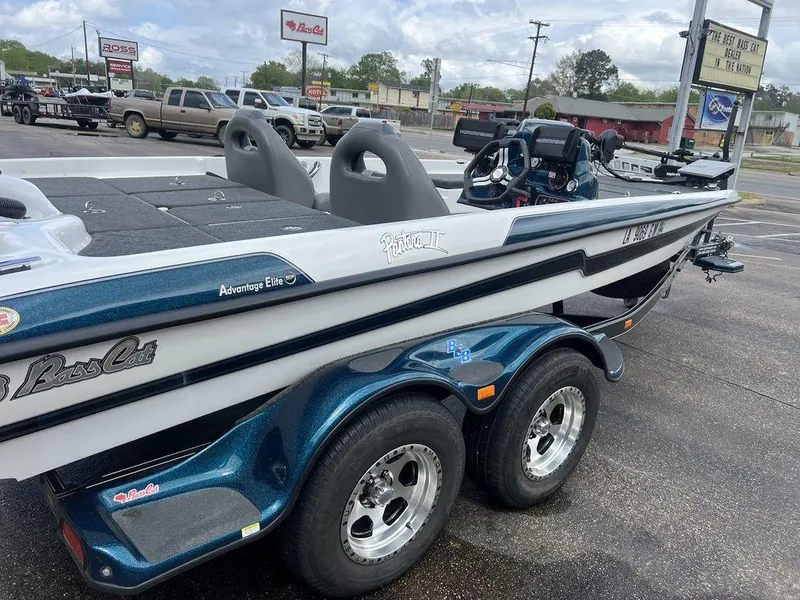 Slide: The Image of Bass Cat Pantera II 2021 - 59