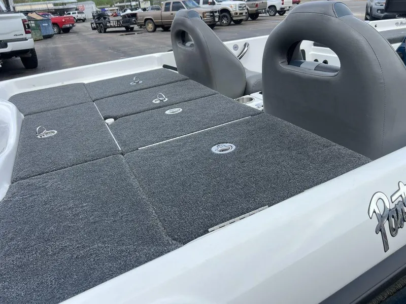 Slide: The Image of Bass Cat Pantera II 2021 - 61