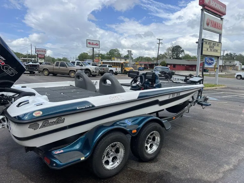 Slide: The Image of Bass Cat Pantera II 2021 - 64