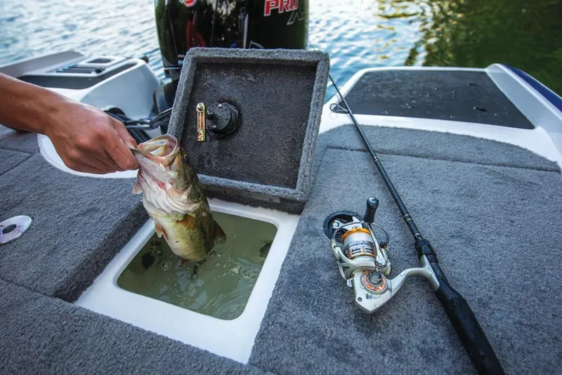 Slide: The Image of Nitro Z19 Sport 2020 - 66