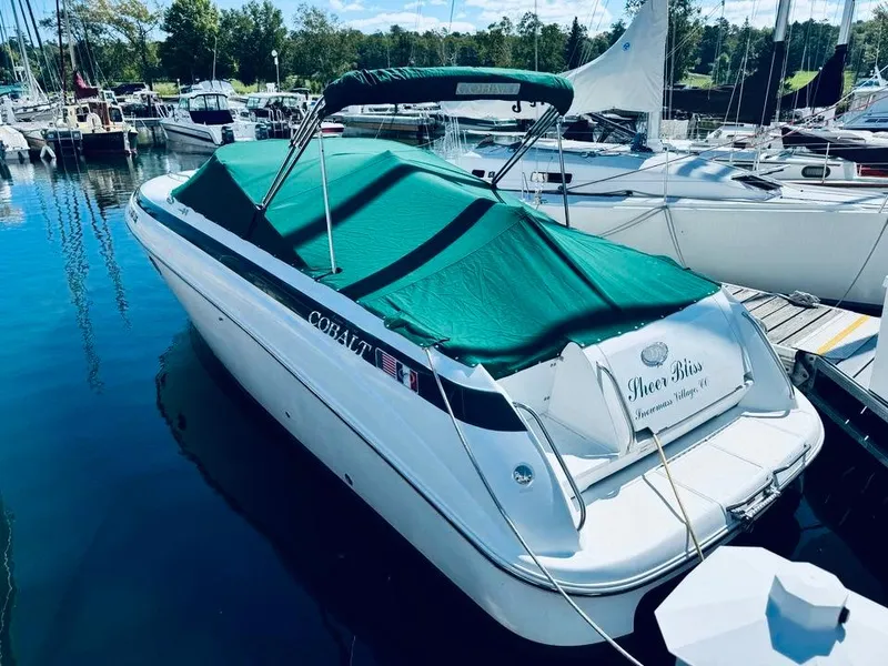 Slide: The Image of Cobalt 293 2000 - 4