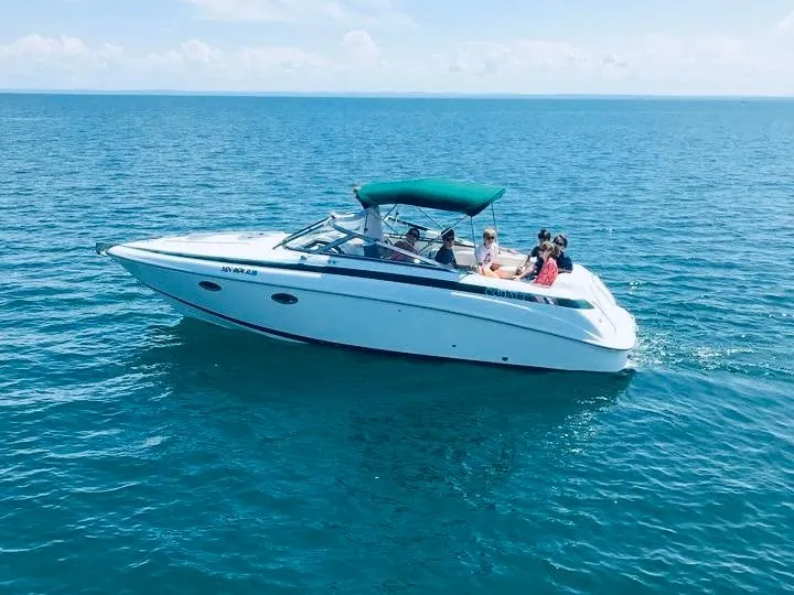 Slide: The Image of Cobalt 293 2000 - 6