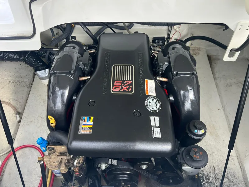 Slide: The Image of Cobalt 232 2010 - 16