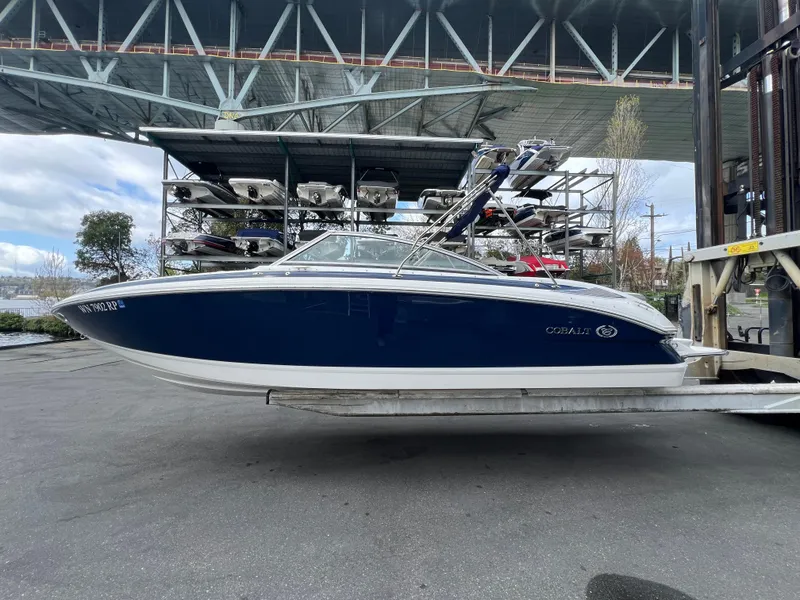 Slide: The Image of Cobalt 232 2010 - 2