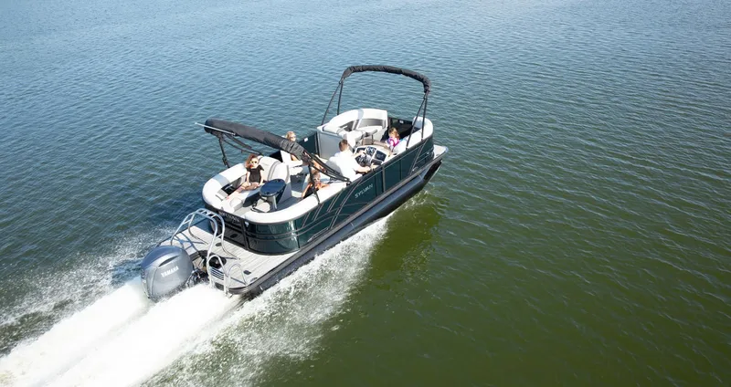 Slide: The Image of Sylvan Mirage X3 2025 - 7