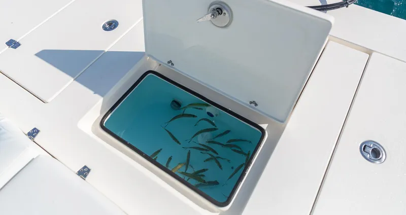 Slide: The Image of Hewes Redfisher 21 2026 - 19