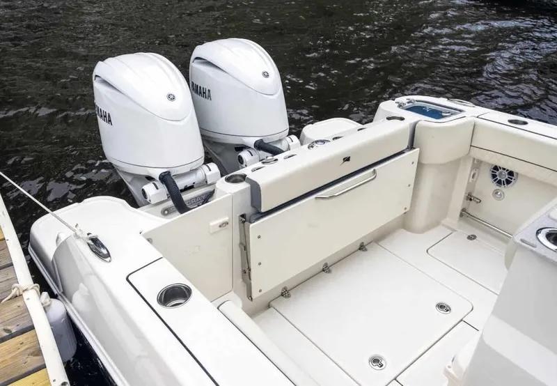 Slide: The Image of Stingray 253 CC 2027 - 3