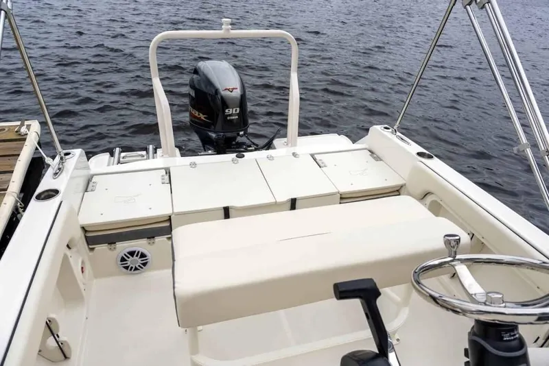 Slide: The Image of Stingray 173 CC 2027 - 12