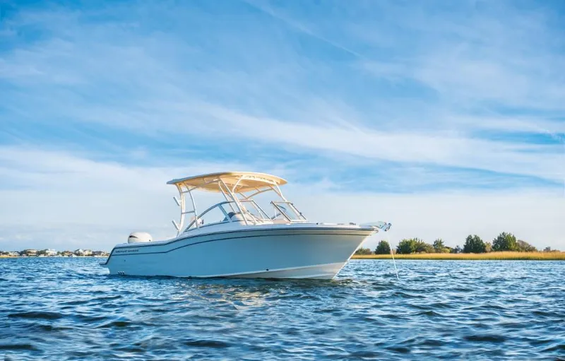 Slide: The Image of Grady-White Freedom 235 2026 - 2