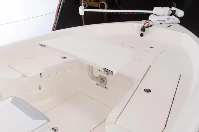 Slide: The Image of Skeeter SX2550 Fish 2026 - 11