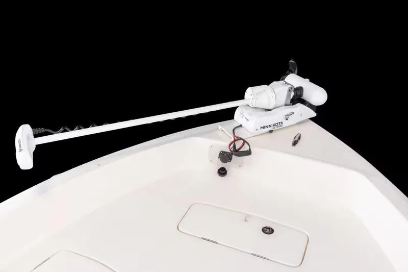 Slide: The Image of Skeeter SX2550 Fish 2026 - 8