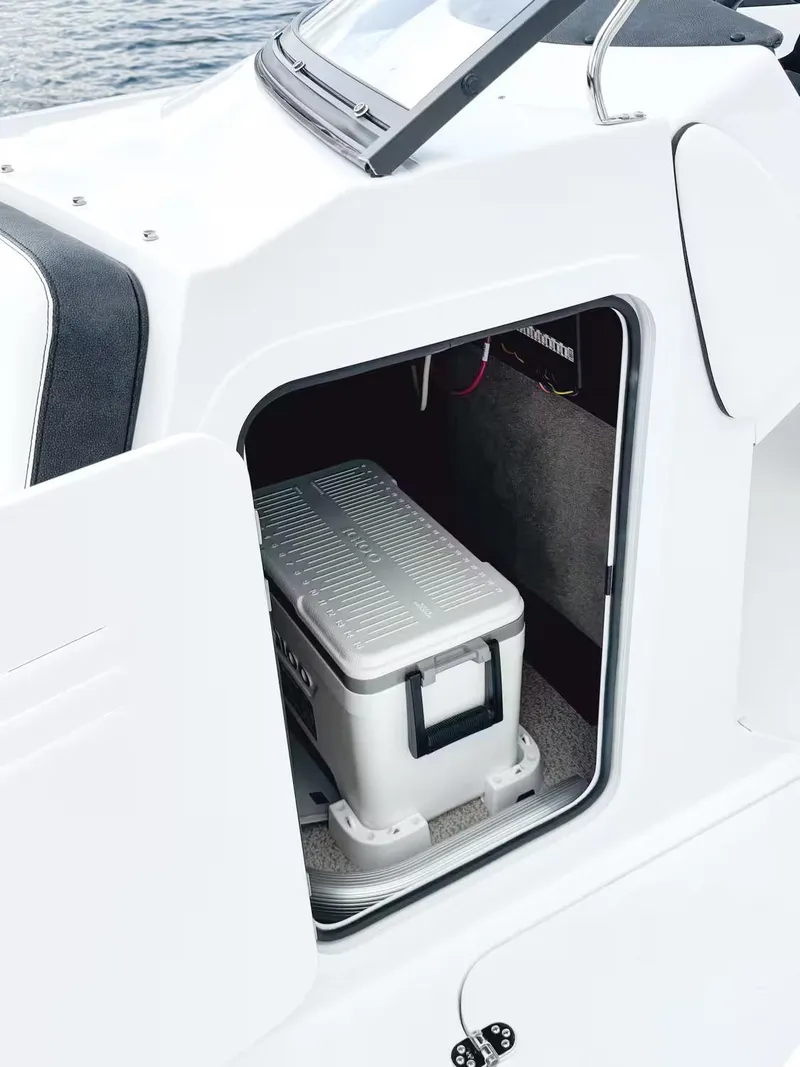 Slide: The Image of Stingray 231 DC 2026 - 21