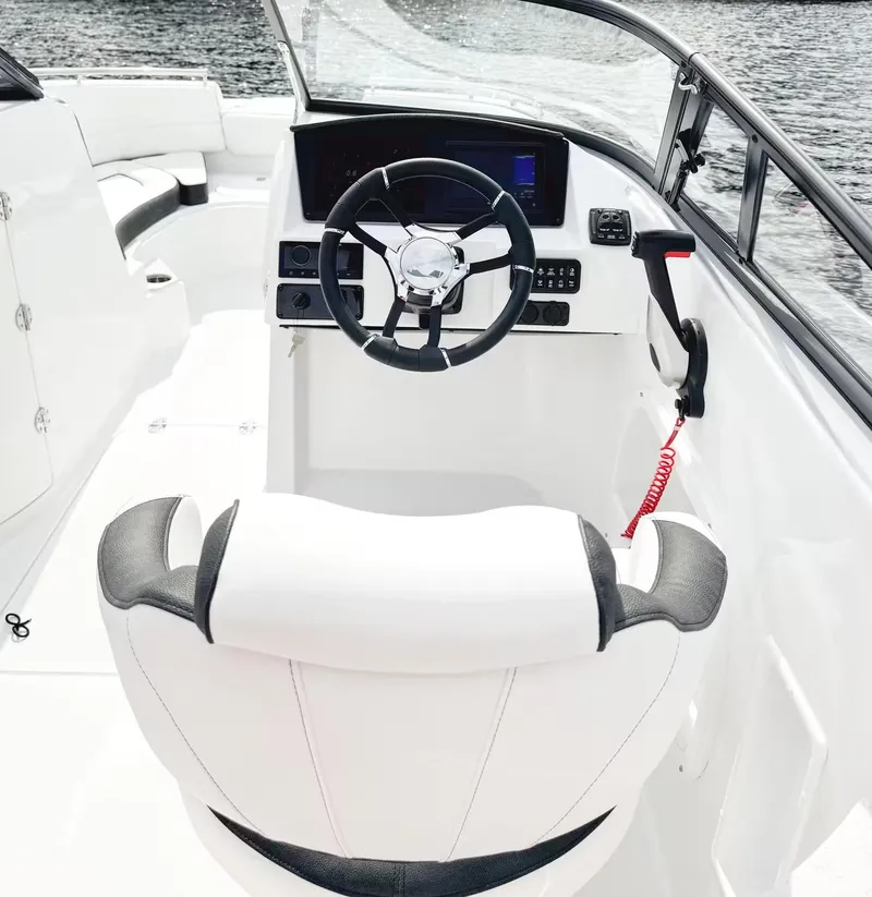 Slide: The Image of Stingray 231 DC 2026 - 11