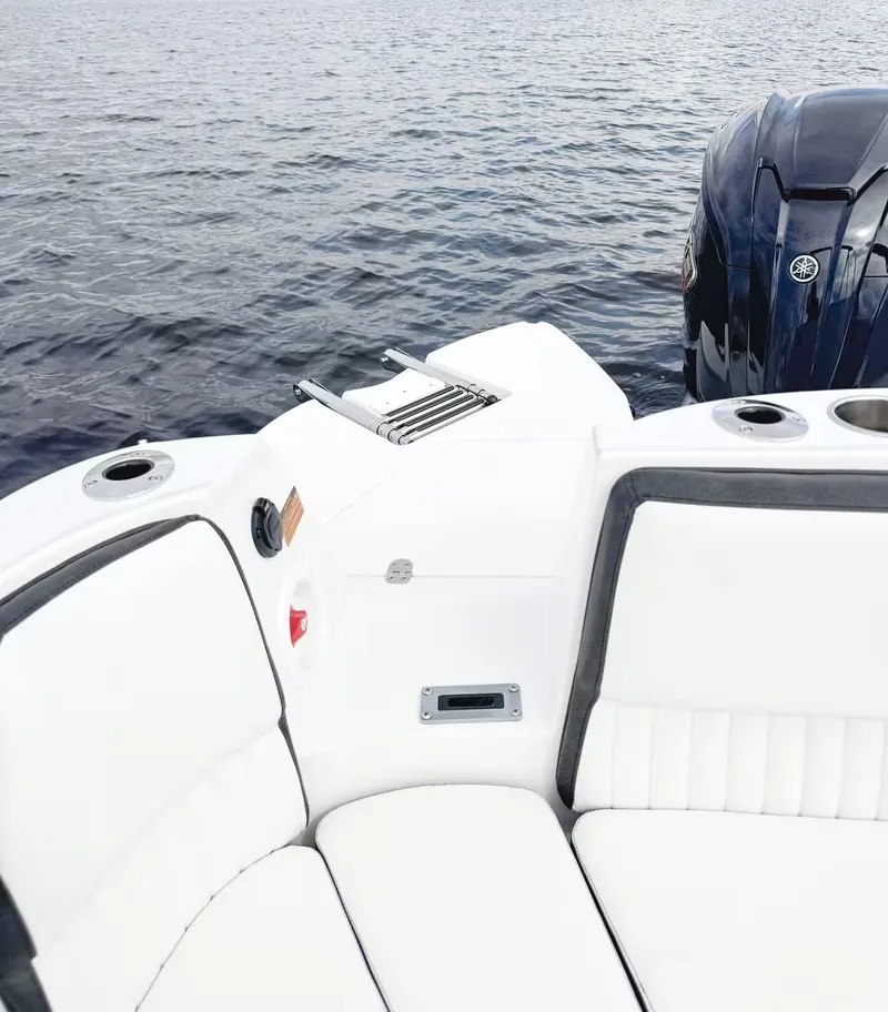 Slide: The Image of Stingray 231 DC 2026 - 17