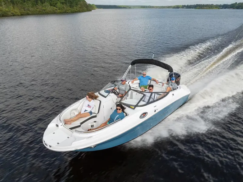 Slide: The Image of Stingray 231 DC 2026 - 2