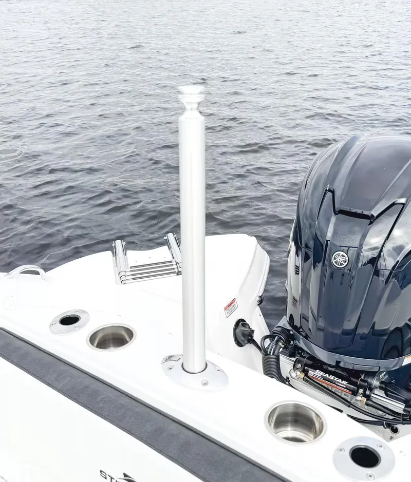 Slide: The Image of Stingray 231 DC 2026 - 20