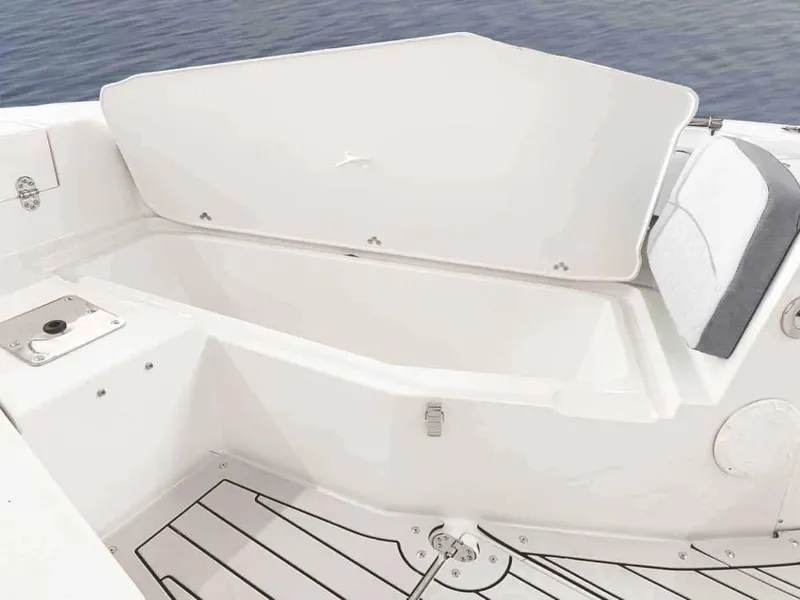 Slide: The Image of Stingray 216CC 2026 - 6