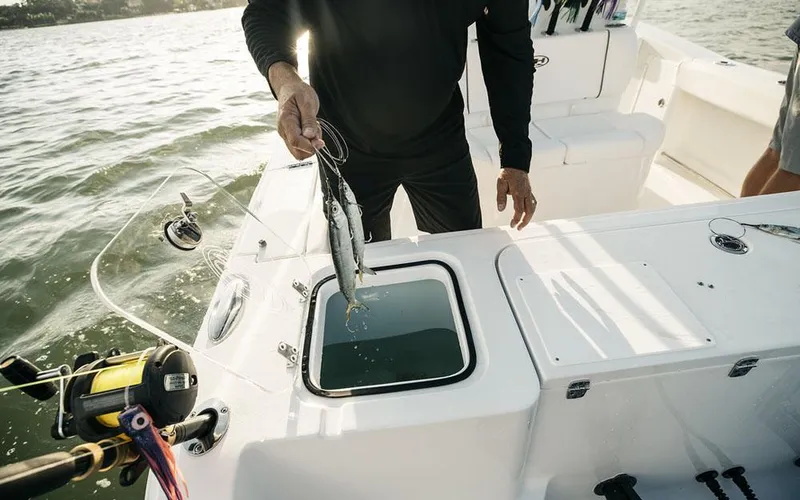 Slide: The Image of Sea Hunt Gamefish 27 2026 - 10