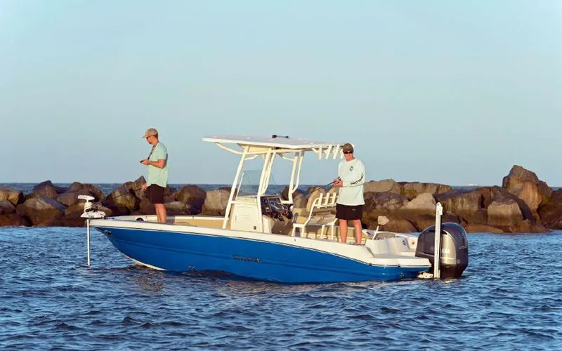 The Image of Stingray 236 CC 2026 - 1