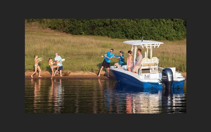 Slide: The Image of Stingray 236 CC 2026 - 2