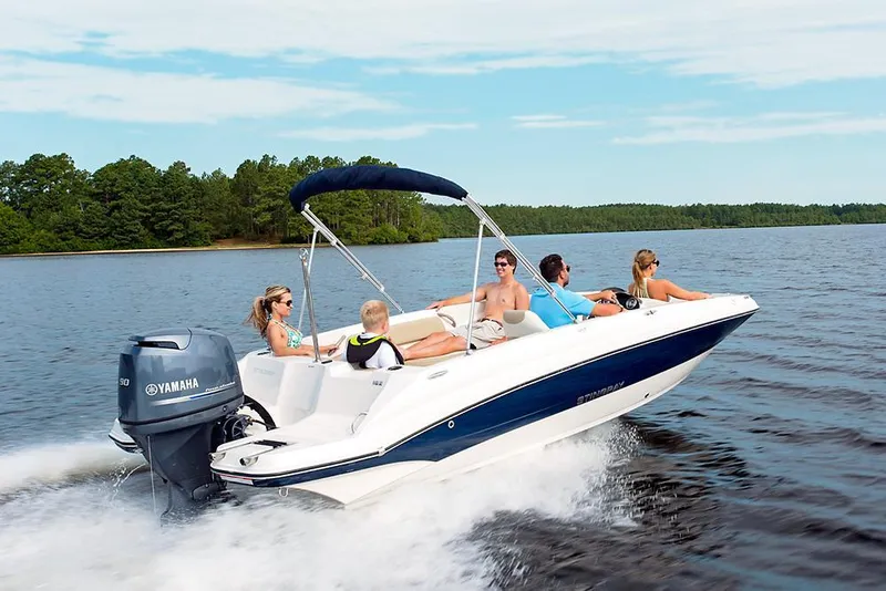 The Image of Stingray 182 SC 2027 - 1