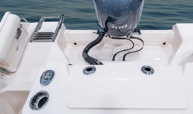 Slide: The Image of Grady-White Freedom 255 2026 - 15