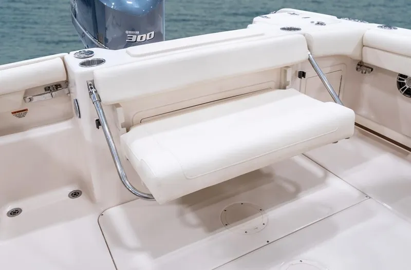 Slide: The Image of Grady-White Freedom 255 2026 - 10