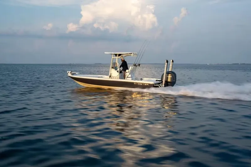 The Image of Skeeter SX241 2026 - 1