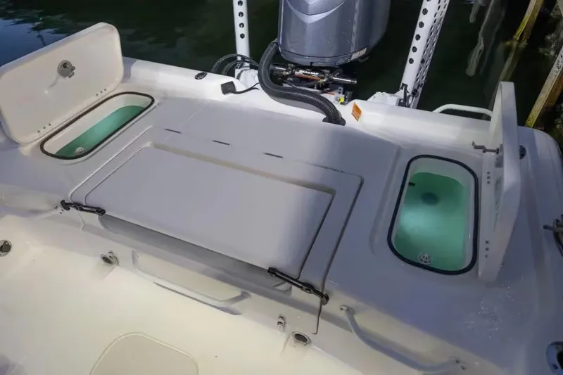 Slide: The Image of Skeeter SX241 2026 - 19