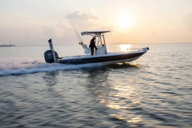 Slide: The Image of Skeeter SX241 2026 - 6