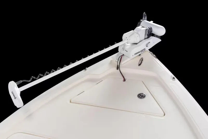 Slide: The Image of Skeeter SX241 2026 - 11