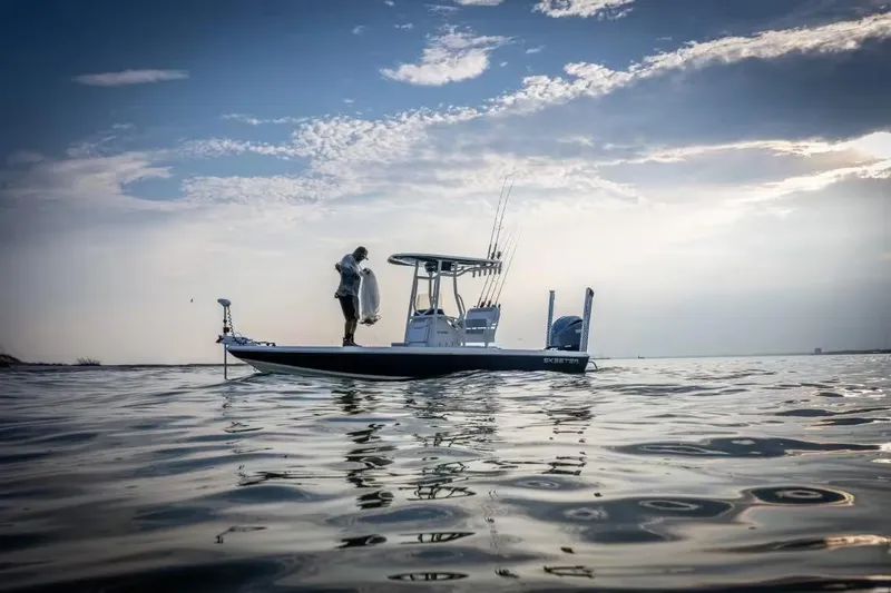 Slide: The Image of Skeeter SX241 2026 - 2