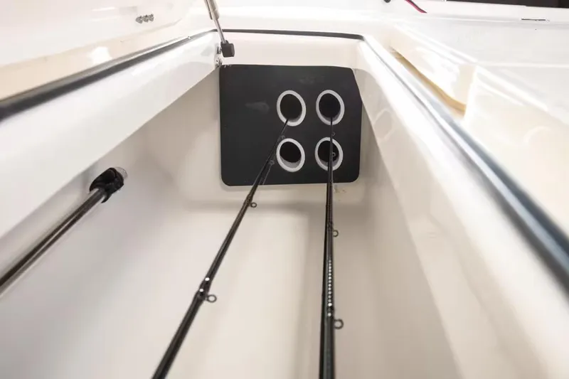 Slide: The Image of Skeeter SX241 2026 - 22