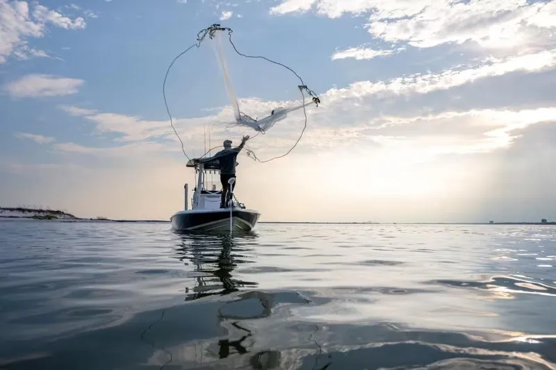 Slide: The Image of Skeeter SX241 2026 - 5