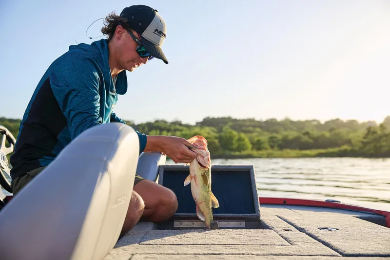 Slide: The Image of Nitro Z17 2025 - 81