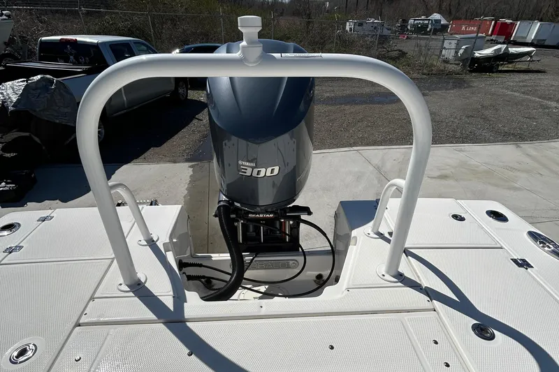 Slide: The Image of 2021 Robalo 246 Cayman boat with Yamaha 300 engine, docked outdoors. - 22