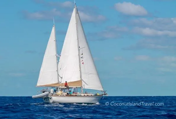 Slide: The Image of Sailboat Dickerson 41 (1977) cruising on open sea under clear blue sky. - 2