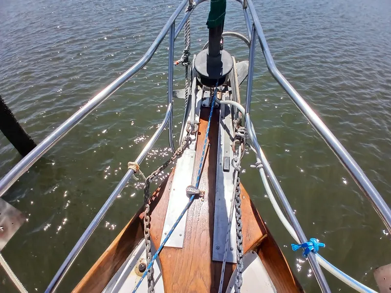 Slide: The Image of Dickerson 41 1977 - 50