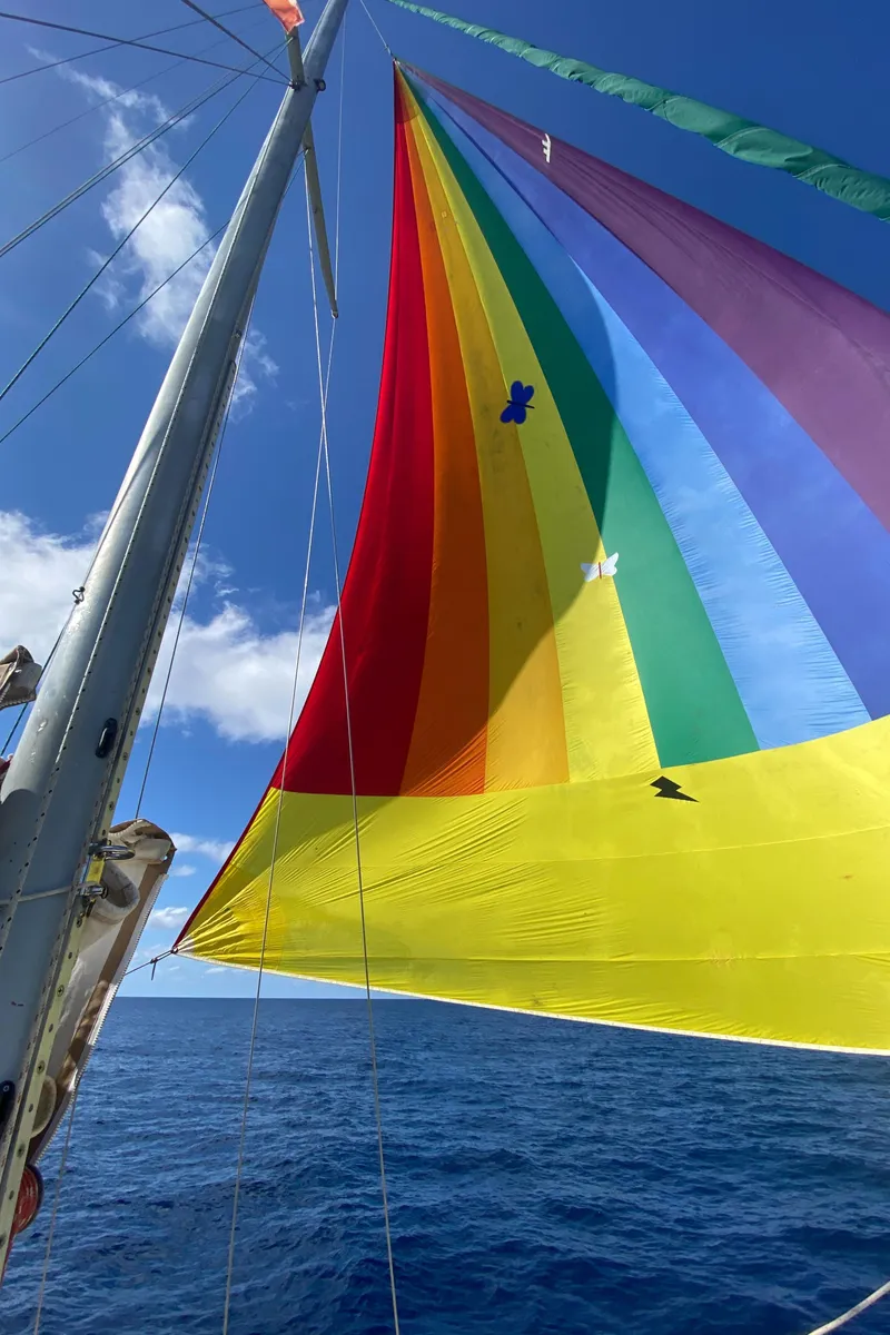 Slide: The Image of Colorful spinnaker sail on 1977 Dickerson 41 yacht against blue sky and ocean. - 7